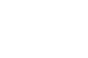 Hotel Nes